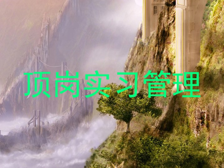 顶岗实习管理