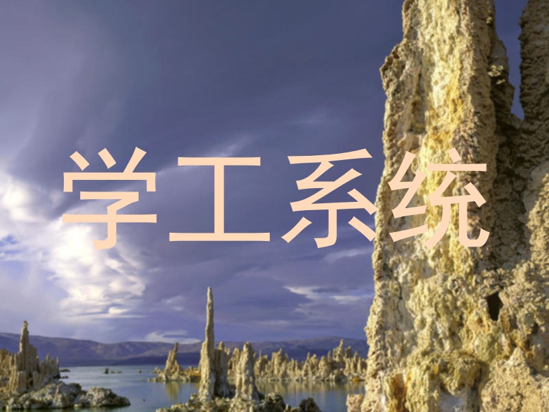 学工系统