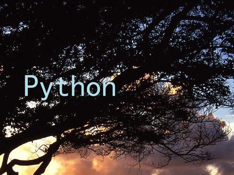 Python