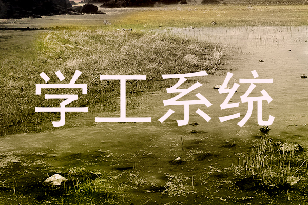 学工系统