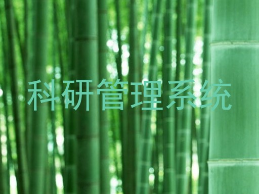 科研管理系统