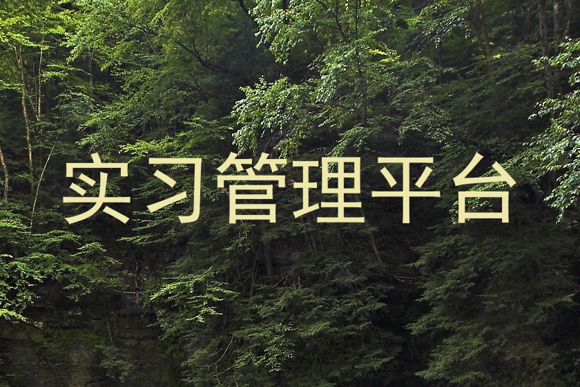 实习管理平台