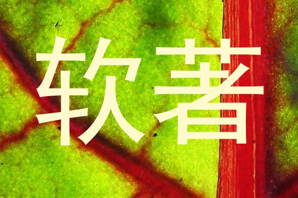 软著