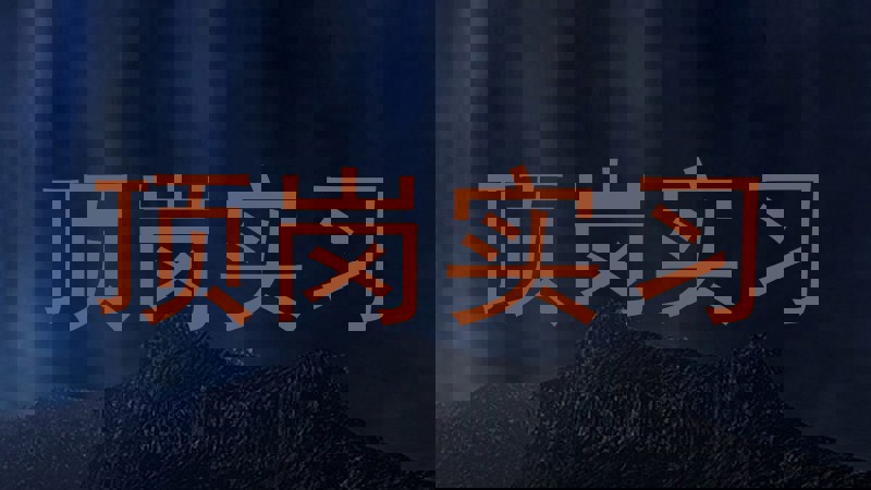 顶岗实习