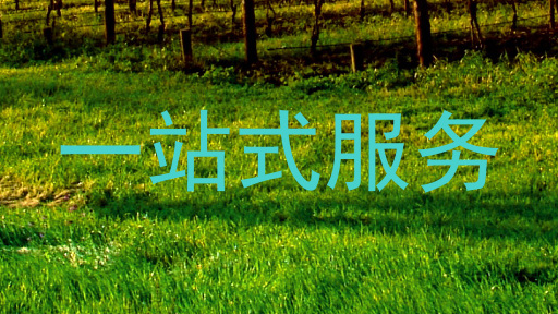 一站式服务