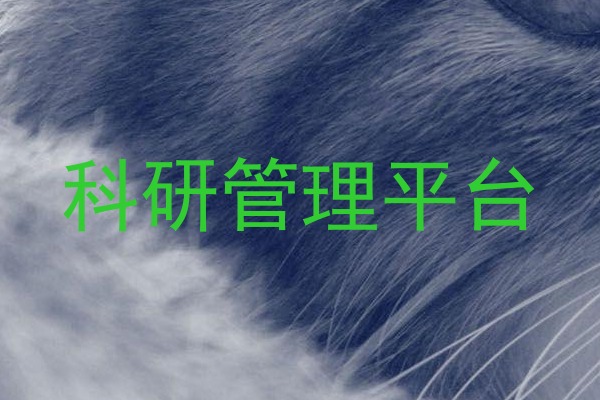 科研管理平台