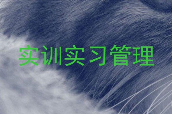实训实习管理