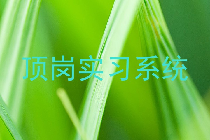 顶岗实习系统