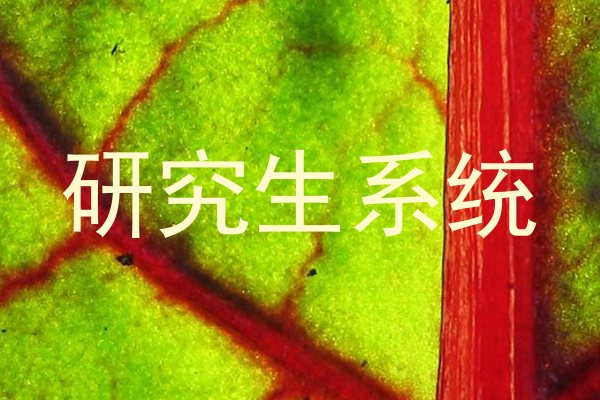 研究生系统