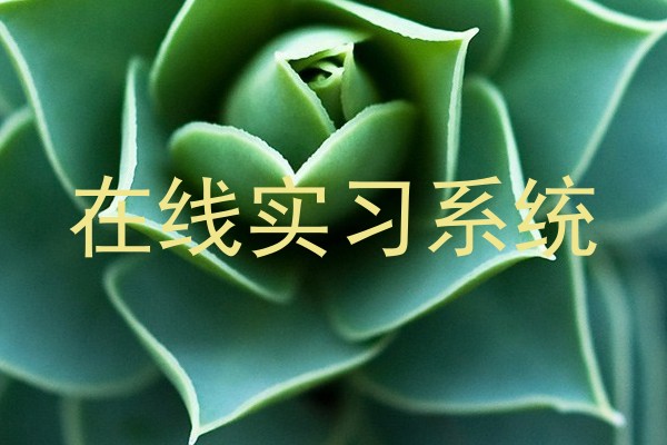 在线实习系统