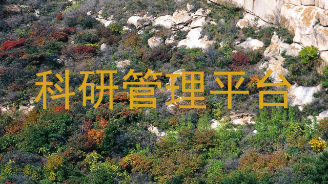 科研管理平台