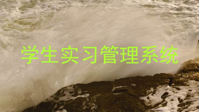 学生实习管理系统