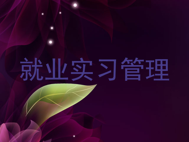 就业实习管理