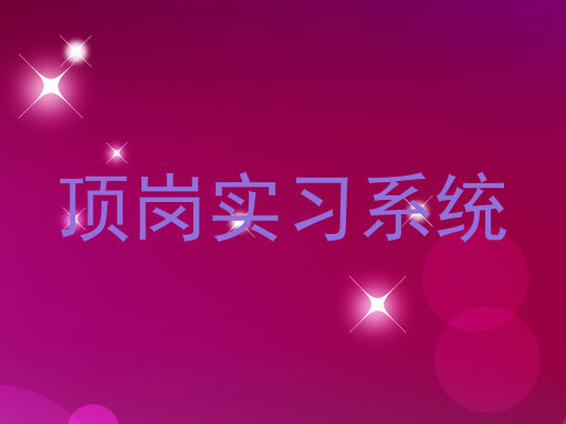 顶岗实习系统