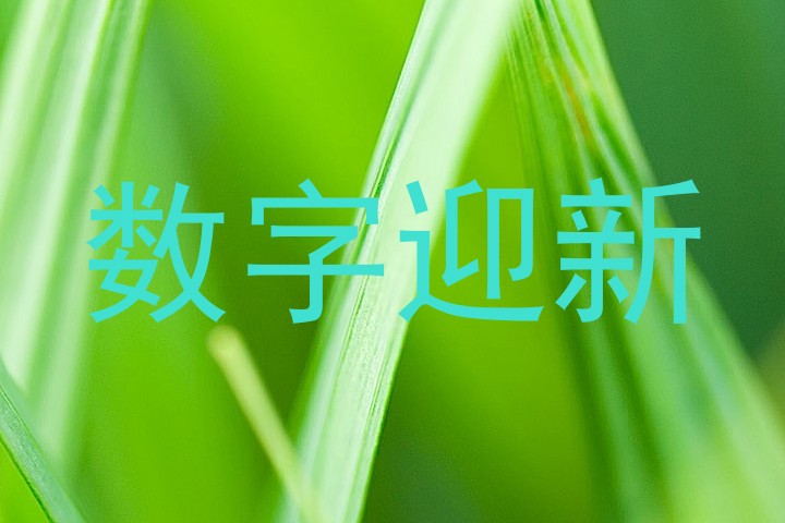 数字迎新