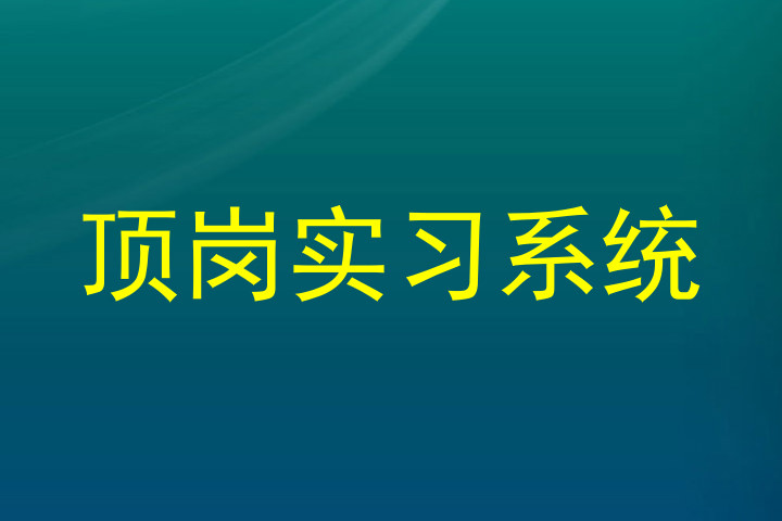 顶岗实习系统