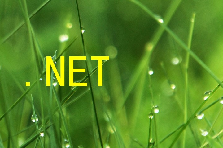.NET