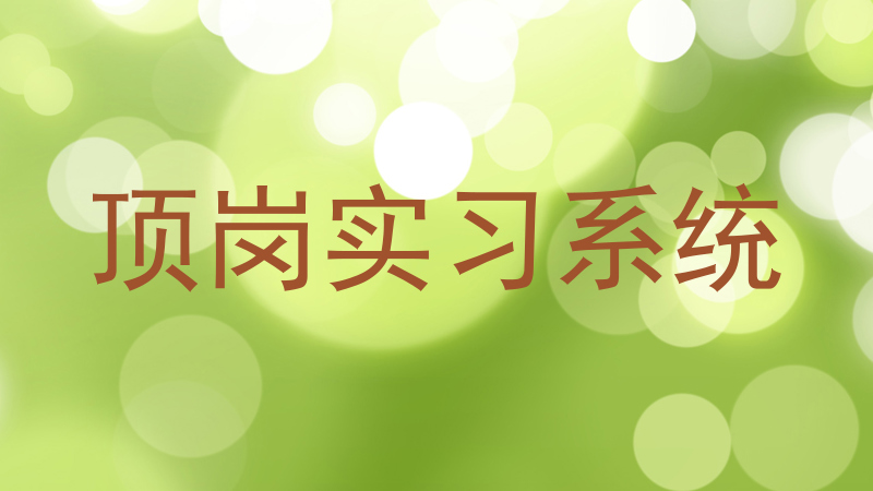顶岗实习系统