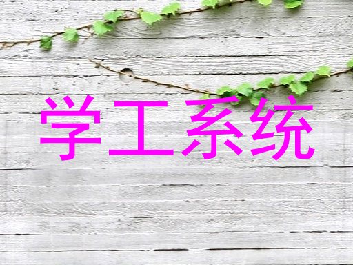学工系统