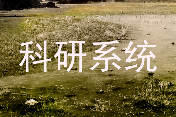 科研系统