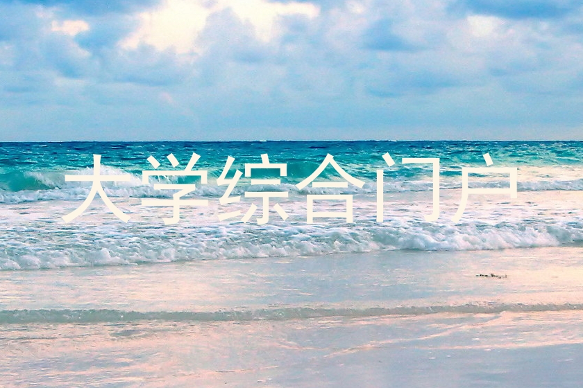 大学综合门户