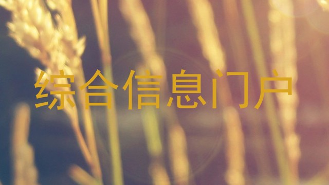 综合信息门户