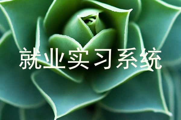 就业实习系统