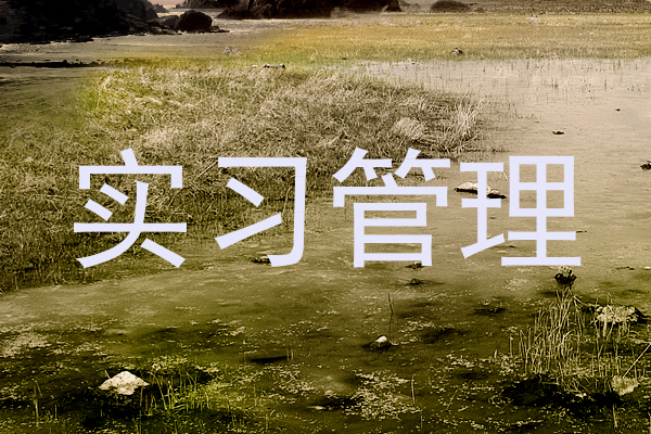 实习管理