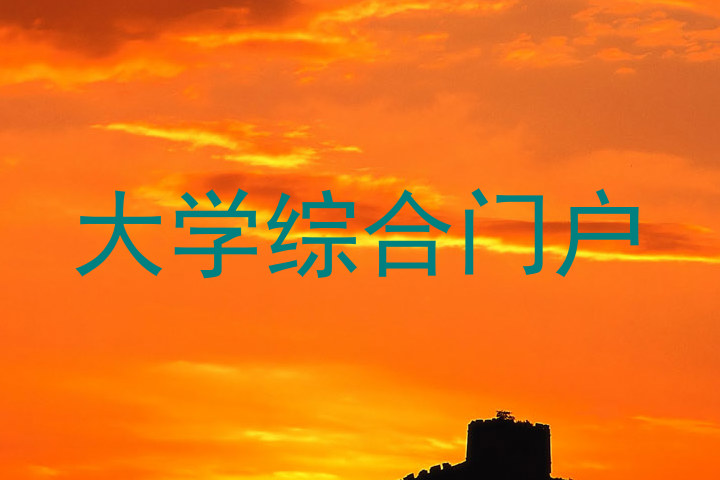 大学综合门户