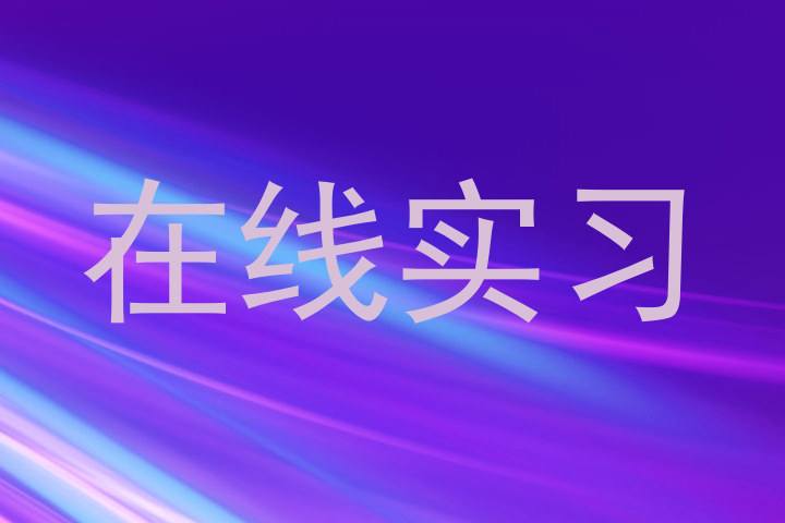 在线实习