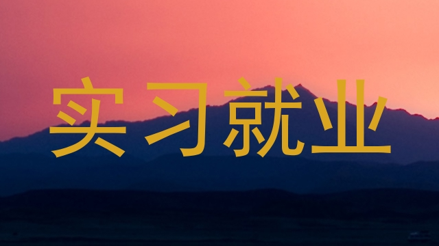 实习就业
