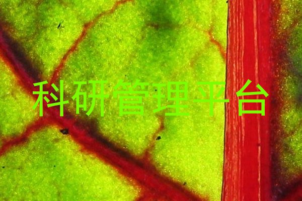科研管理平台