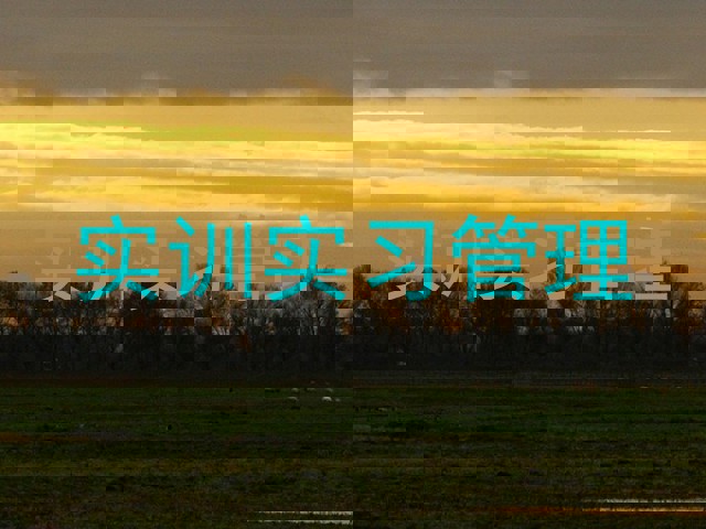 实训实习管理