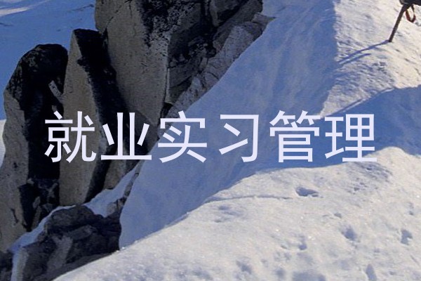 就业实习管理