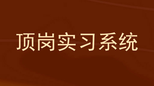 顶岗实习系统