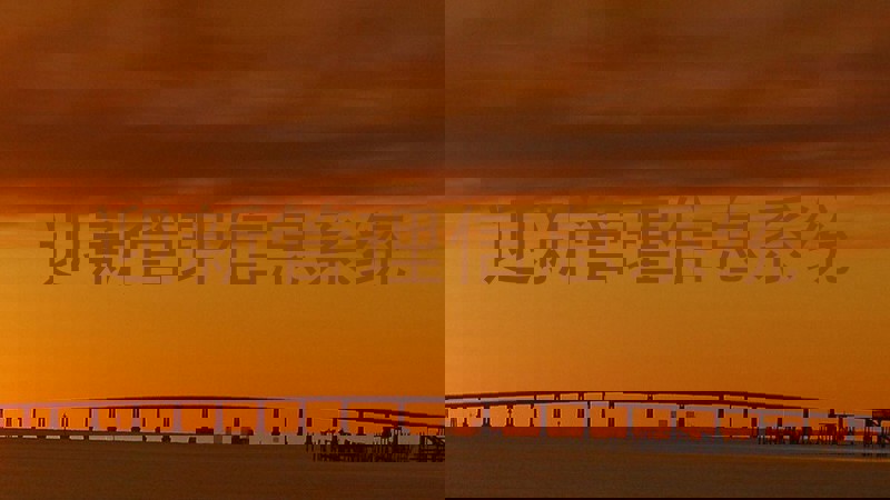 迎新管理信息系统