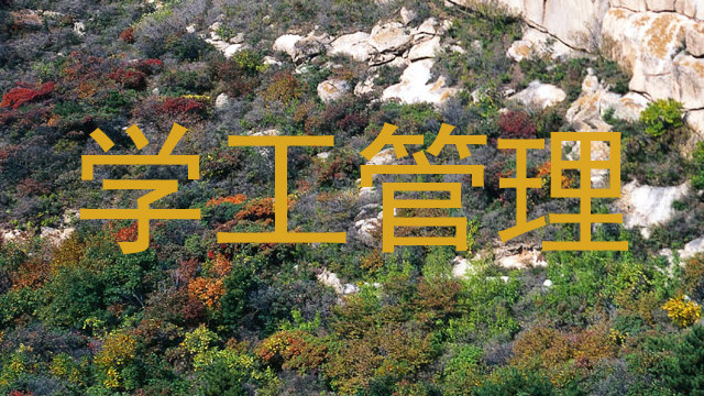 学工管理