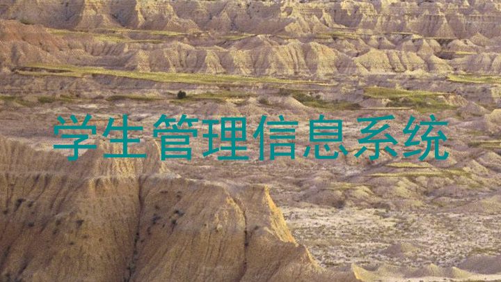 学生管理信息系统
