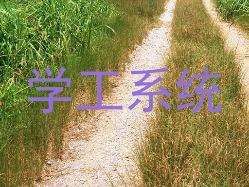 学工系统