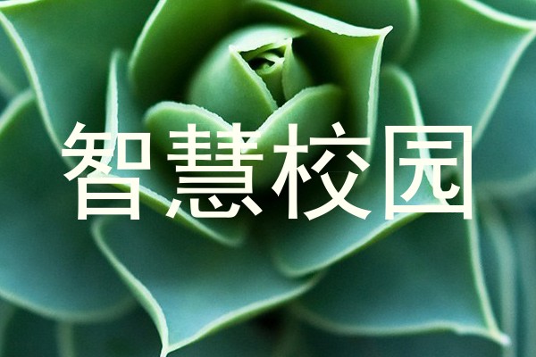智慧校园