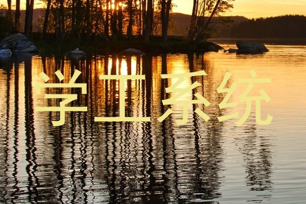 学工系统
