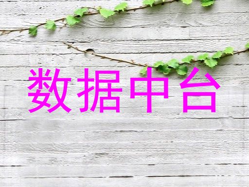 数据中台