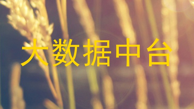 大数据中台