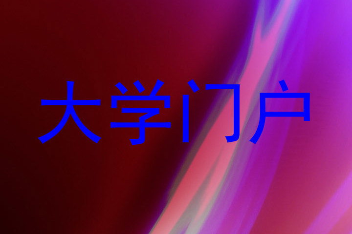 大学门户