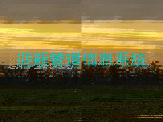 迎新管理信息系统