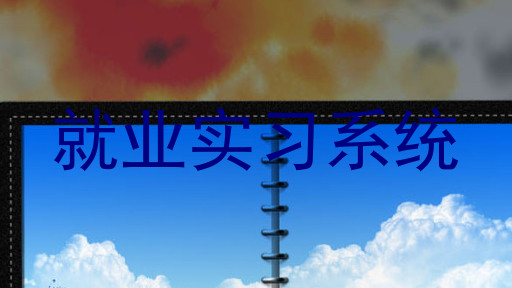 就业实习系统