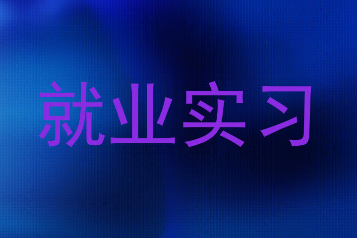 就业实习