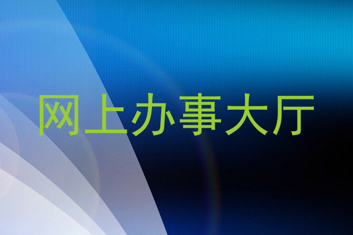 网上办事大厅