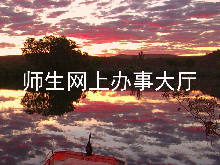 师生网上办事大厅