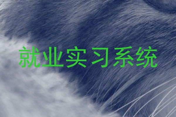 就业实习系统
